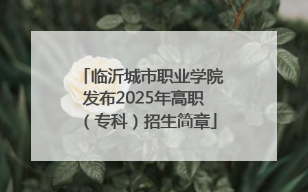 临沂城市职业学院发布2025年高职（专科）招生简章