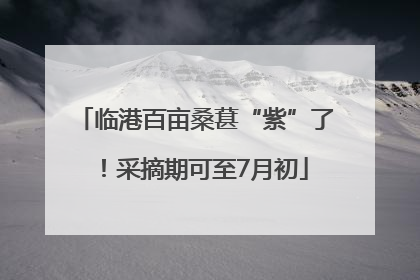 临港百亩桑葚“紫”了！采摘期可至7月初