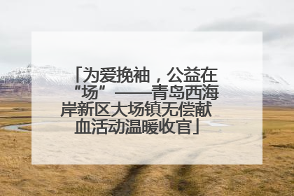 为爱挽袖，公益在“场”——青岛西海岸新区大场镇无偿献血活动温暖收官