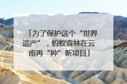 为了保护这个“世界遗产”，蚂蚁森林在云南再“种”新项目