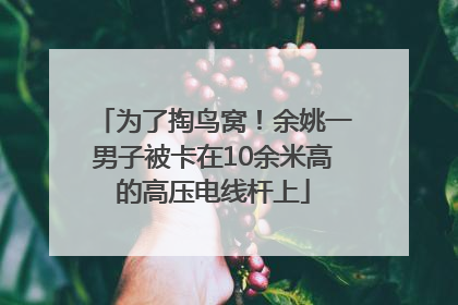 为了掏鸟窝！余姚一男子被卡在10余米高的高压电线杆上