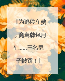 为逃停车费，竟套牌包月车……三名男子被罚！