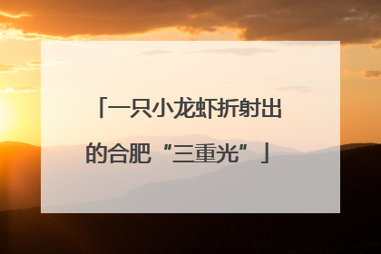 一只小龙虾折射出的合肥“三重光”