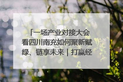 一场产业对接大会 看四川南充如何聚新赋绿、链享未来｜打赢经济发展翻身仗
