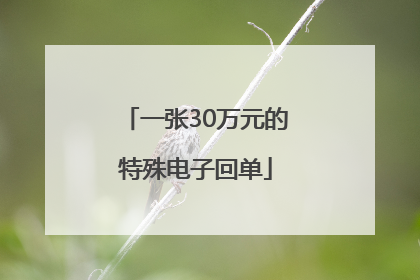 一张30万元的特殊电子回单
