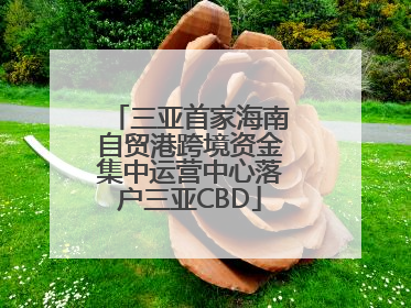 三亚首家海南自贸港跨境资金集中运营中心落户三亚CBD