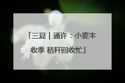 三夏｜通许：小麦丰收季 秸秆回收忙