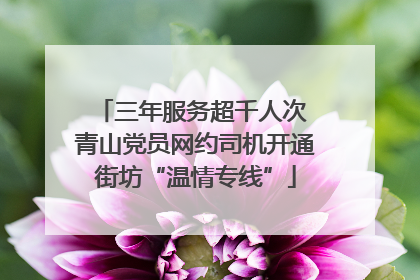 三年服务超千人次 青山党员网约司机开通街坊“温情专线”