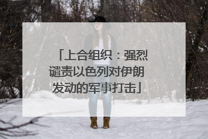 上合组织：强烈谴责以色列对伊朗发动的军事打击