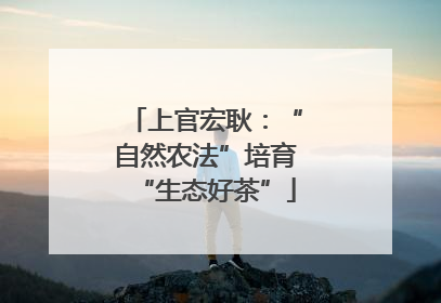 上官宏耿：“自然农法”培育“生态好茶”