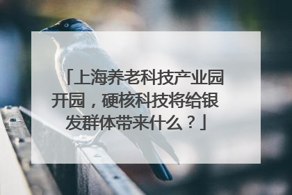 上海养老科技产业园开园，硬核科技将给银发群体带来什么？