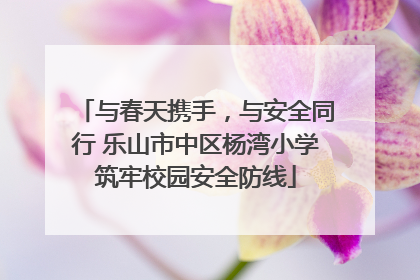 与春天携手，与安全同行 乐山市中区杨湾小学筑牢校园安全防线