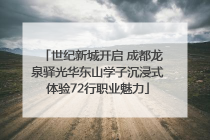 世纪新城开启 成都龙泉驿光华东山学子沉浸式体验72行职业魅力