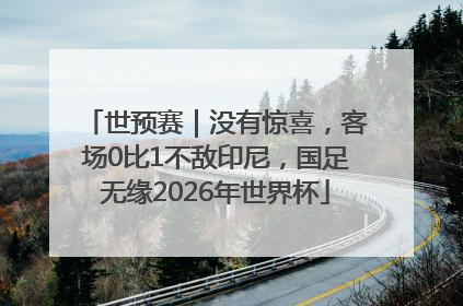 世预赛｜没有惊喜，客场0比1不敌印尼，国足无缘2026年世界杯