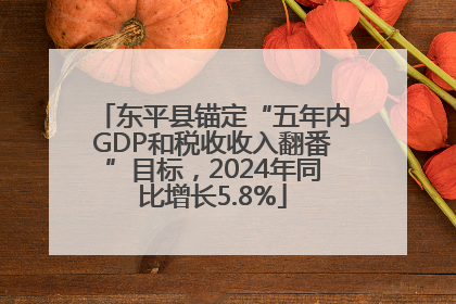 东平县锚定“五年内GDP和税收收入翻番”目标，2024年同比增长5.8%