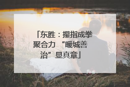 东胜：攥指成拳聚合力 “暖城善治”显真章