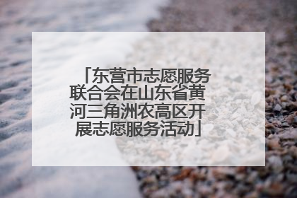 东营市志愿服务联合会在山东省黄河三角洲农高区开展志愿服务活动