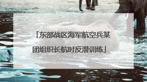 东部战区海军航空兵某团组织长航时反潜训练
