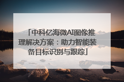 中科亿海微AI图像推理解决方案：助力智能装备目标识别与跟踪