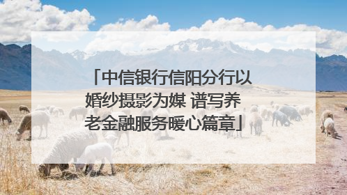 中信银行信阳分行以婚纱摄影为媒 谱写养老金融服务暖心篇章