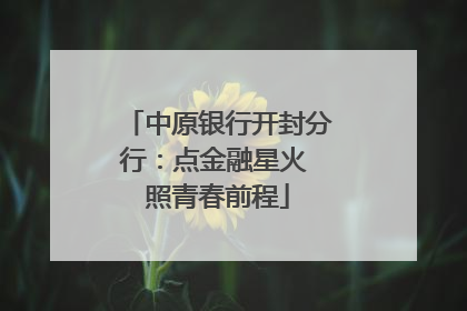 中原银行开封分行：点金融星火 照青春前程