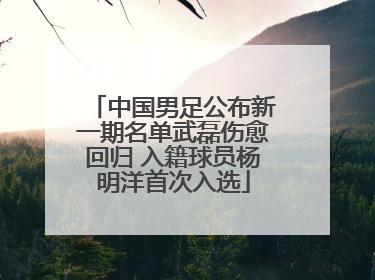 中国男足公布新一期名单武磊伤愈回归 入籍球员杨明洋首次入选