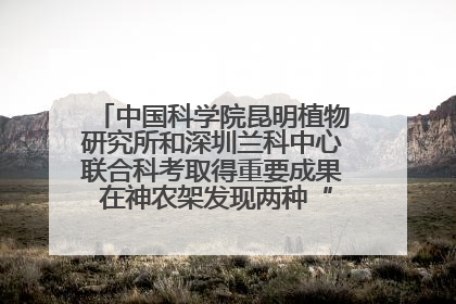 中国科学院昆明植物研究所和深圳兰科中心联合科考取得重要成果 在神农架发现两种“国保”级兰花