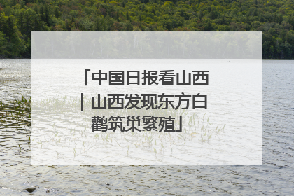中国日报看山西｜山西发现东方白鹳筑巢繁殖