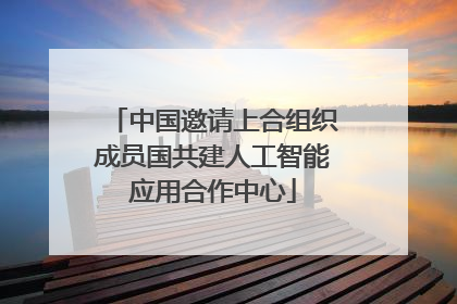 中国邀请上合组织成员国共建人工智能应用合作中心