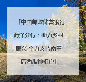 中国邮政储蓄银行菏泽分行：助力乡村振兴 全力支持南王店西瓜种植户