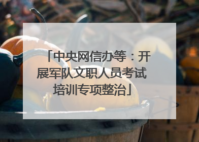 中央网信办等：开展军队文职人员考试培训专项整治