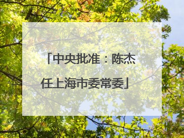 中央批准：陈杰任上海市委常委