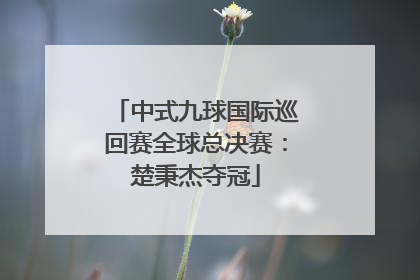 中式九球国际巡回赛全球总决赛：楚秉杰夺冠