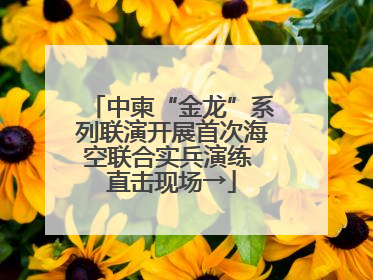中柬“金龙”系列联演开展首次海空联合实兵演练 直击现场→