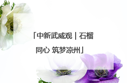 中新武威观｜石榴同心 筑梦凉州