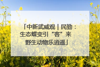 中新武威观｜民勤：生态蝶变引“客”来 野生动物乐逍遥