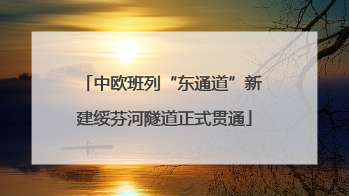 中欧班列“东通道”新建绥芬河隧道正式贯通