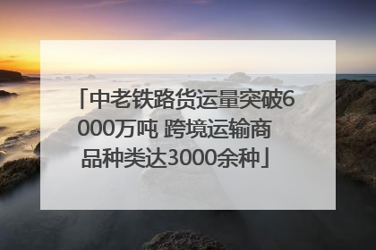 中老铁路货运量突破6000万吨 跨境运输商品种类达3000余种