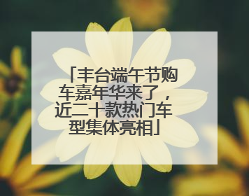 丰台端午节购车嘉年华来了，近二十款热门车型集体亮相