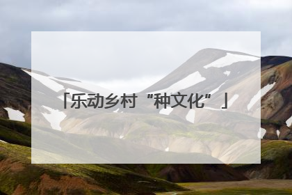 乐动乡村“种文化”