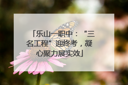 乐山一职中：“三名工程”迎终考，凝心聚力展实效