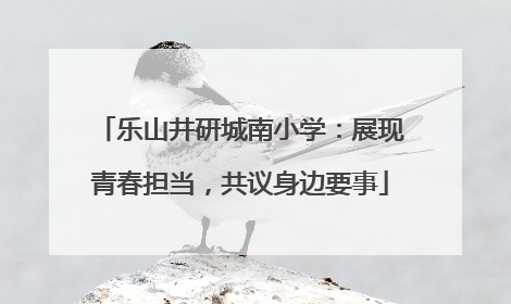 乐山井研城南小学：展现青春担当，共议身边要事
