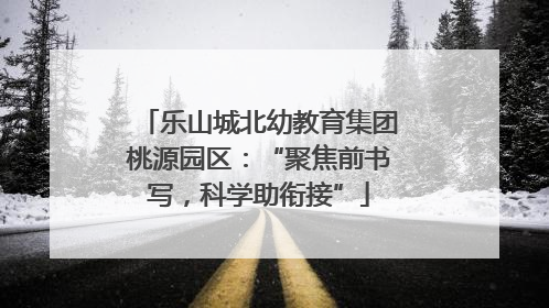 乐山城北幼教育集团桃源园区：“聚焦前书写，科学助衔接”