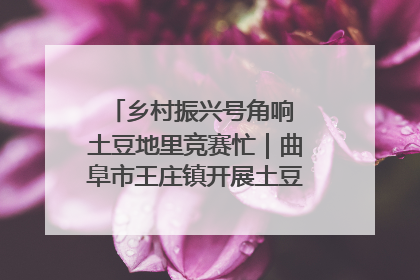 乡村振兴号角响 土豆地里竞赛忙｜曲阜市王庄镇开展土豆收获劳动竞赛
