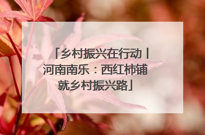 乡村振兴在行动丨河南南乐：西红柿铺就乡村振兴路