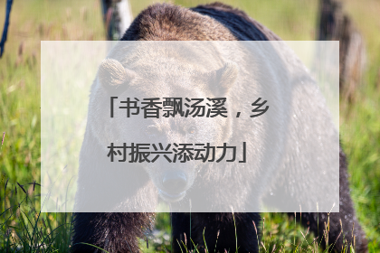 书香飘汤溪，乡村振兴添动力