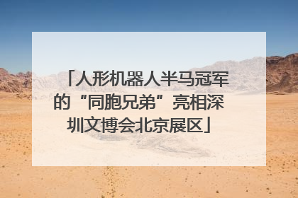 人形机器人半马冠军的“同胞兄弟”亮相深圳文博会北京展区