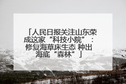 人民日报关注山东荣成这家“科技小院”：修复海草床生态 种出海底“森林”