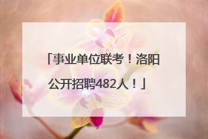 事业单位联考！洛阳公开招聘482人！