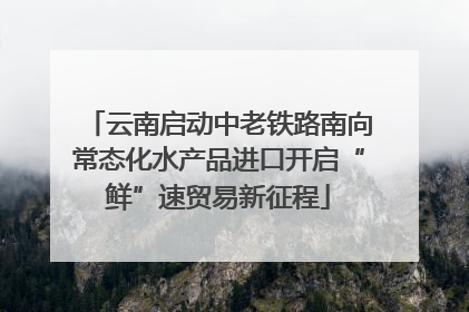 云南启动中老铁路南向常态化水产品进口开启“鲜”速贸易新征程